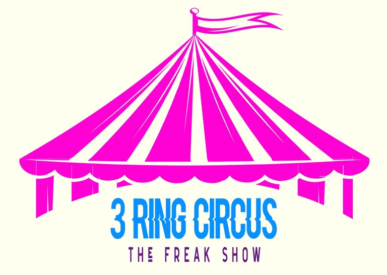 SHOP | 3ringcircustfs.com